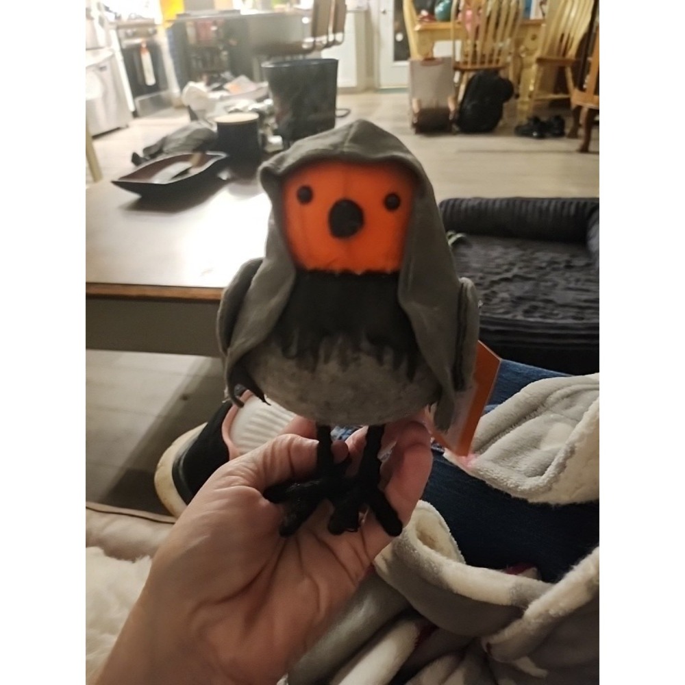 Target~"Lewis"~Hyde and EEK~Boutique~2025 ~Halloween Bird